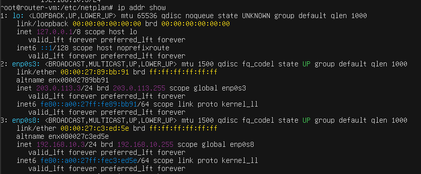 Output With Netplan Configured