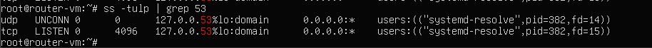 System-resolved listening on port 53