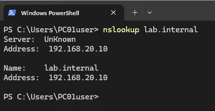 nslookup lab.internal